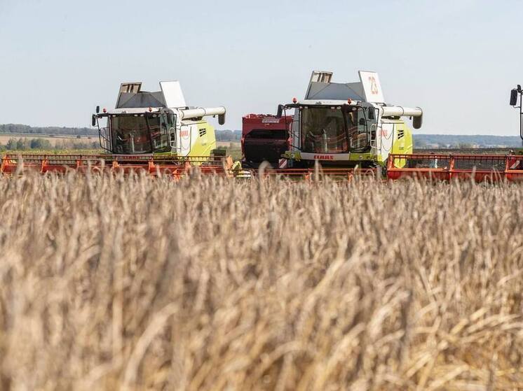 В Тульской области забуксовал проект зерносушильного комплекса за 648 млн рублей