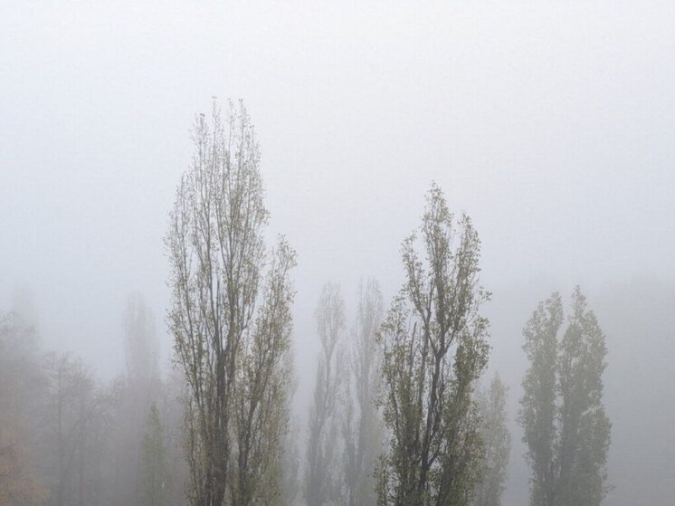 Туман еще на сутки задержится в Воронеже