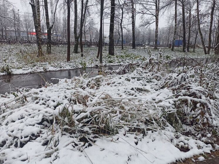 Два опасных явления продолжают портить погоду во Владимирской области