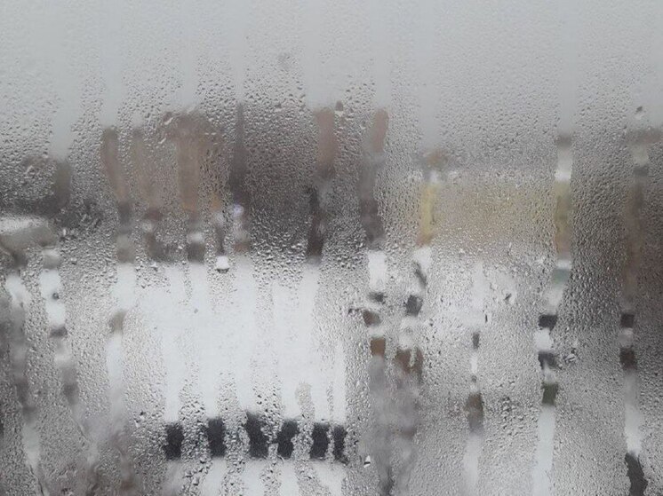 Пойдет ли снег в Воронеже 5 декабря