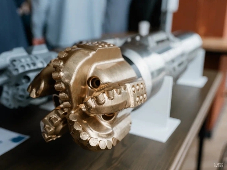 Как Тверская область готовит кадры для цифровой экономики и какие проекты достойны инвестиций