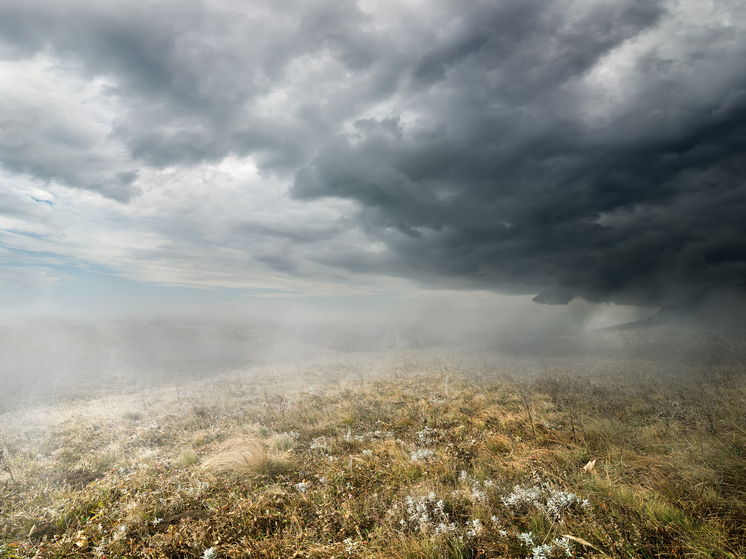 Погода в Архангельской области 5 декабря: дожди и сильный ветер