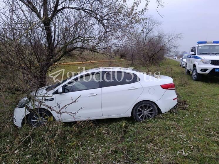 Машина врезалась в дерево в Дагестане, пострадал младенец