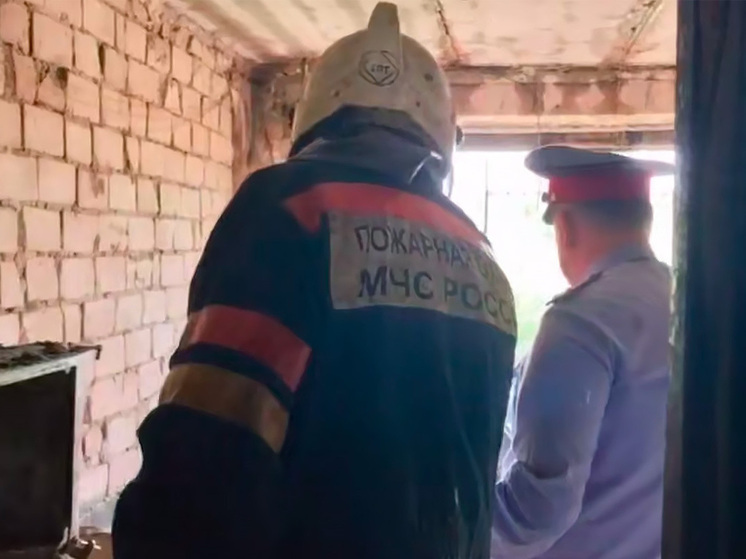 В Липецке неосторожность матери привела к гибели двух сыновей