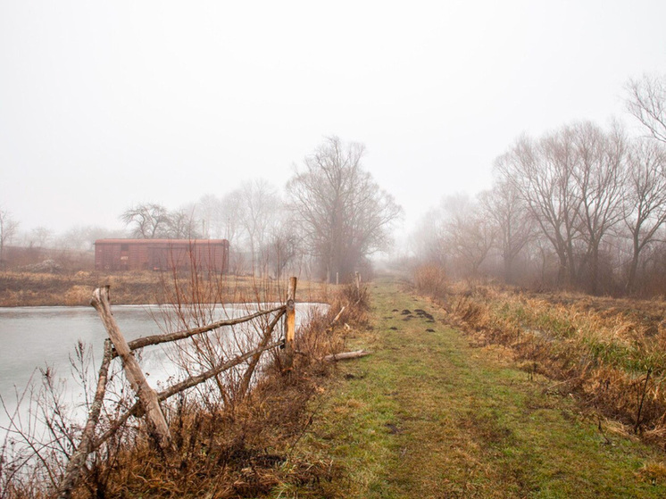 Туманные перспективы ожидают липчан 5 декабря