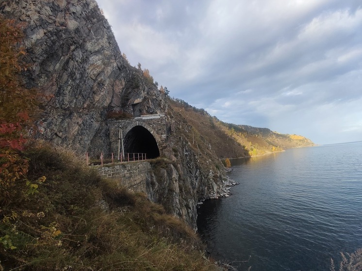 Сплошные рубки в Байкале: законопроект вынесен на голосование