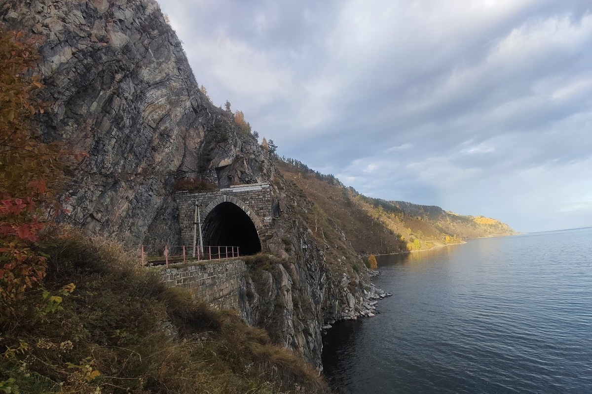 Сплошные рубки в Байкале: законопроект вынесен на голосование