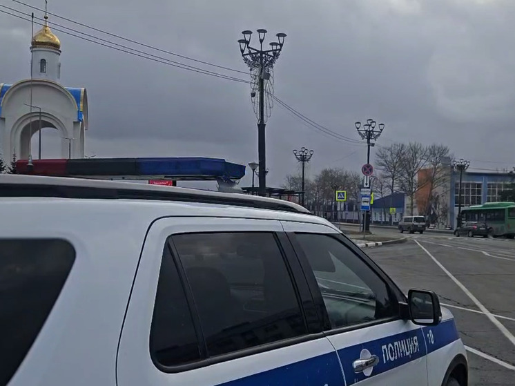 На Сахалине за сутки выявили почти 1200 нарушений ПДД