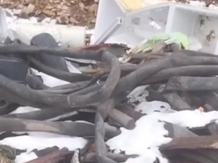 Жители Невельского района возмущены свалкой отходов рядом с их домами