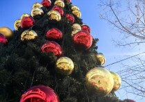 Подробный прогноз погоды в Приморье на выходные
В первые зимние выходные Приморский край окажется под влиянием обширного циклона, смещающегося из Китая