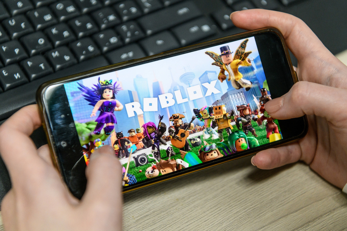 Мизулина собирает жалобы на блокировку Roblox для РКН