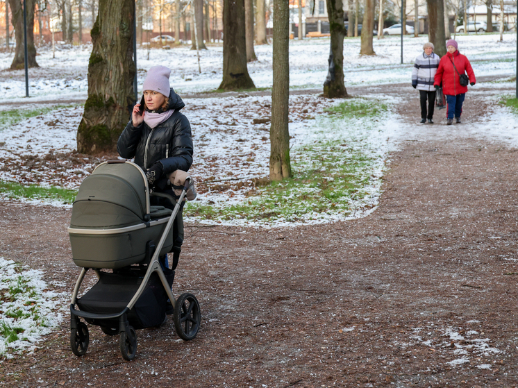 Вильфанд заявил, что 2025 год войдет в топ-3 самых теплых за всю историю метеонаблюдений