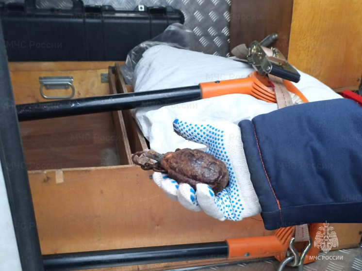 В Курске обнаружили и обезвредили гранату времён ВОВ