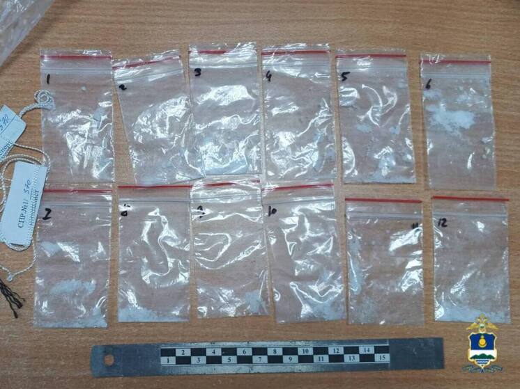 Жительницу Бурятии будут судить за участие в организованной группе наркосбытчиков