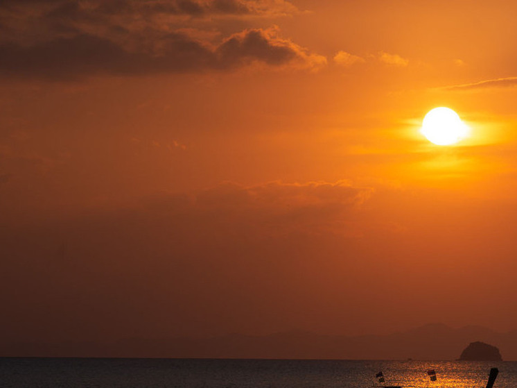 Жители Москвы могут увидеть гигантские пятна на Солнце