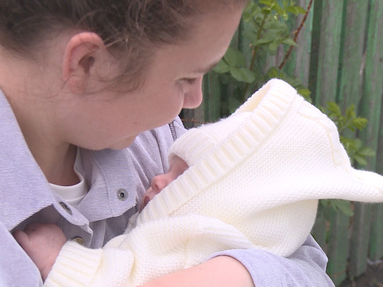 Более 250 тысяч семей в Новосибирской области получили господдержку в 2025 году