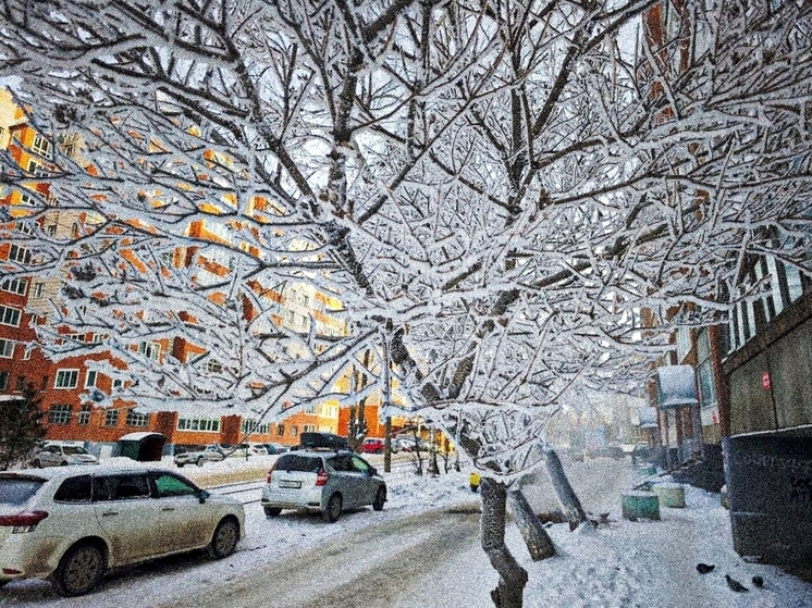 Мокрый снег и морозы до -19°С придут в Томскую область 5 декабря