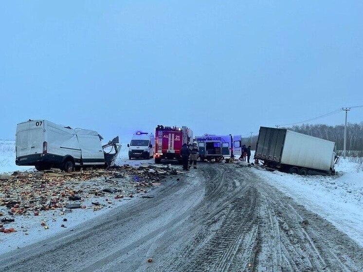 На трассе Чуйский тракт в Искитимском районе произошло смертельное ДТП