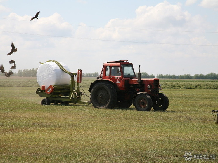 В Кемеровской области выставлен на продажу агропромышленный комплекс, расположенный в Прокопьевском районе