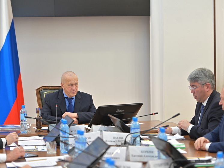 Юрий Трутнев поручил разобраться, почему бюджет Бурятии не увеличивается, а уменьшается