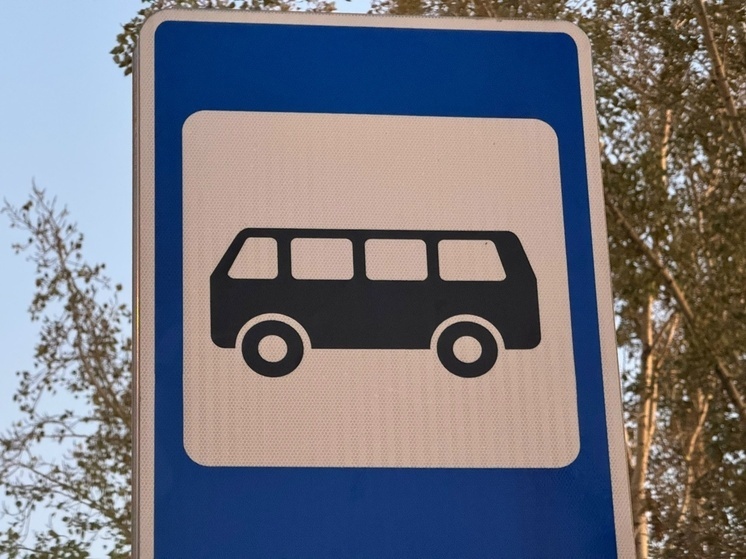 В Благовещенске отменили еще одно направление для автобусов