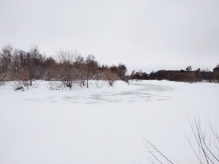 Синоптики озадачены: зима задерживается с аномальным теплом – эксперты назвали сроки прихода настоящих холодов