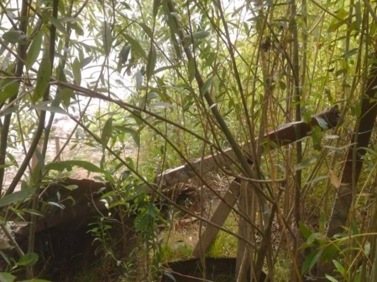 В Астраханской области выявлено незаконное ограничение доступа к протоке Николаевская