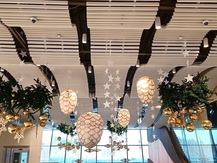 В Екатеринбурге запретили украшать подъезды к Новому году без разрешения УК