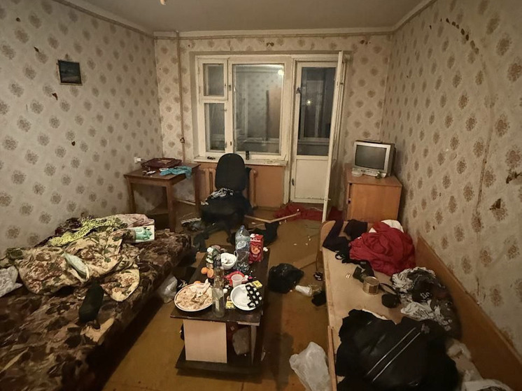 Петербуржца арестовали по делу о покушении на убийство в Архангельске