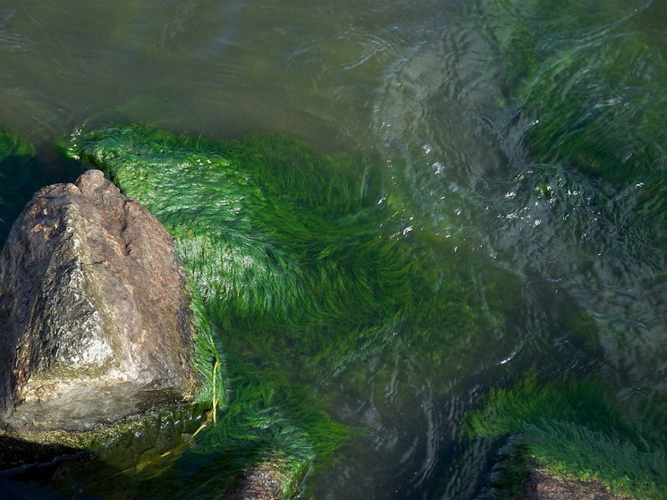 В Челябинской области из озера извлекли тела мужчины и 12-летнего ребенка