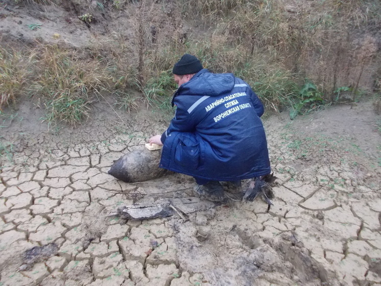 На полигоне Воронежской области уничтожили мину времен ВОВ