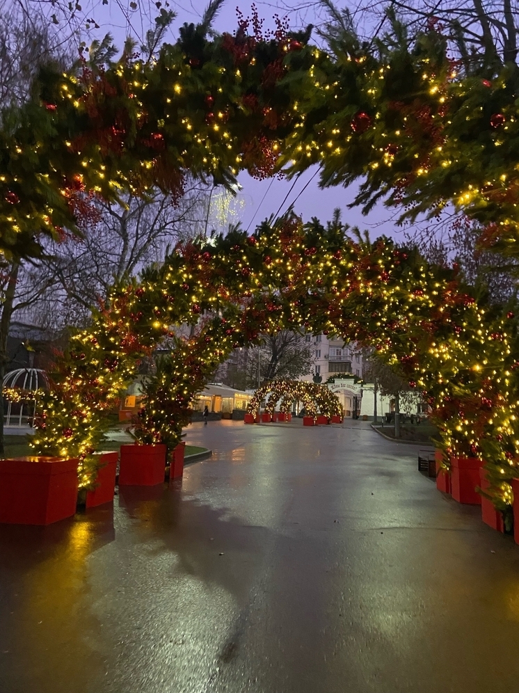 Синоптик Сафонов:перестройка в атмосфере приведет к установлению снежного покрова