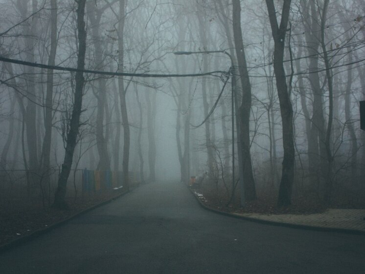 Дороги Мурманской области накрыл туман