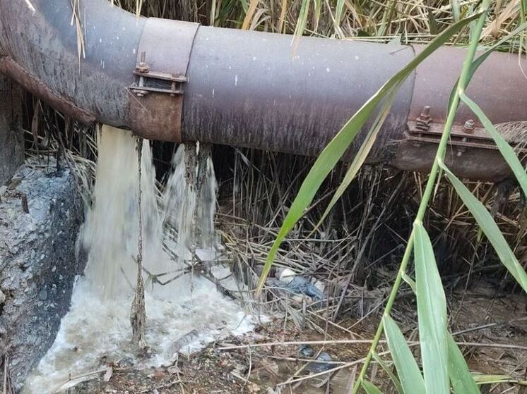 Владельца участка канализации обязали возместить более 1,17 млн рублей за загрязнение ерика Казачий в Астрахани