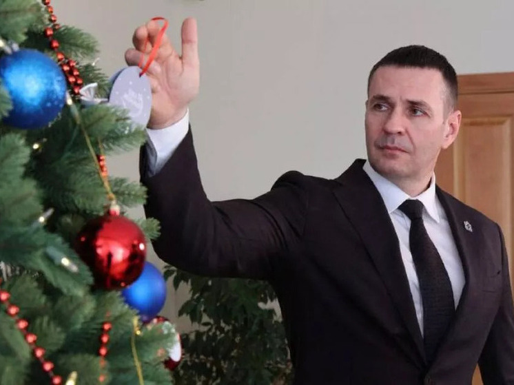 Глава Хабаровского края Демешин исполнит новогоднее желание девочки из Дебальцево