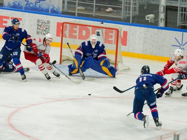 ХК ЦСК ВВС победил «Ростов» в Самаре в овертайме со счетом 3:2