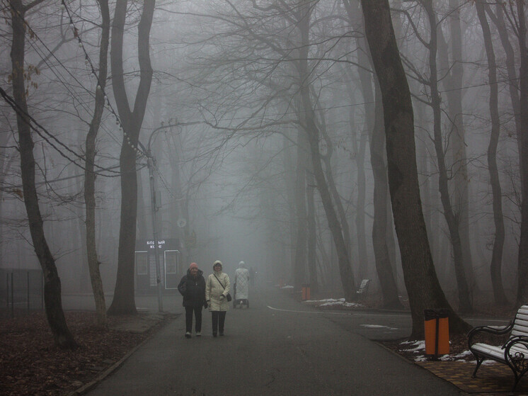 Туман сменит небольшие осадки в Петербурге 5 декабря