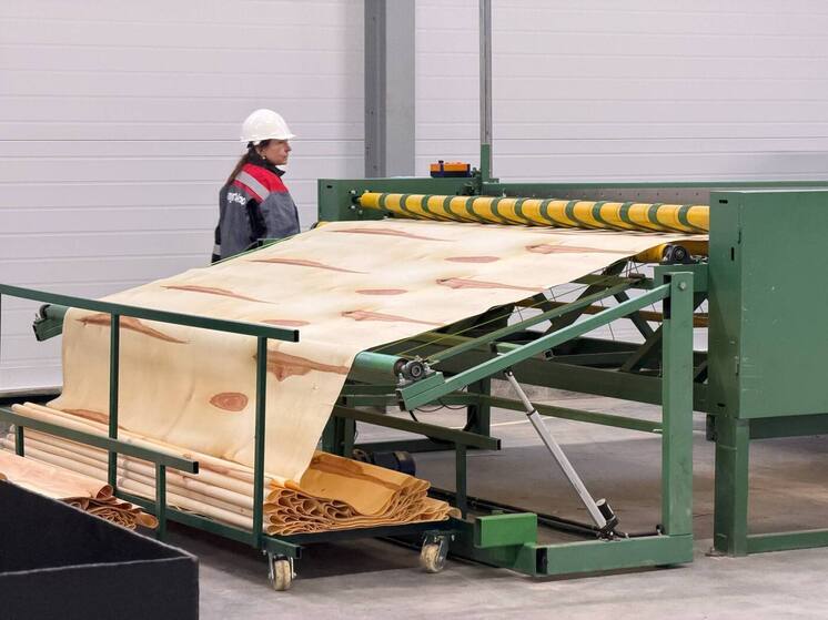 В Шарьинском районе губернатор Сергей Ситников запустил цех по производству шпона