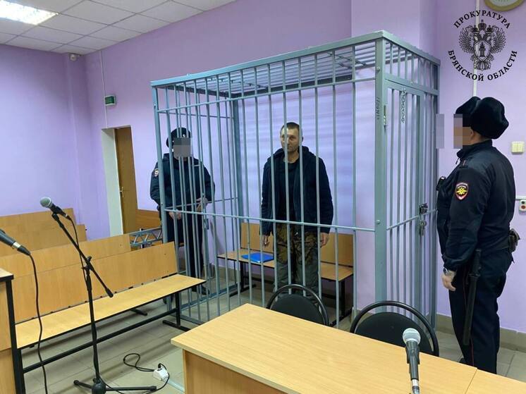 Избившего до смерти мужчину брянца заключили под стражу