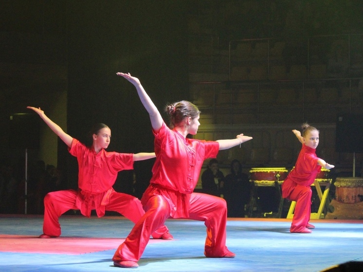 Меры поддержки для спортсменов и тренеров продлят на 2026 год в Вологодской области