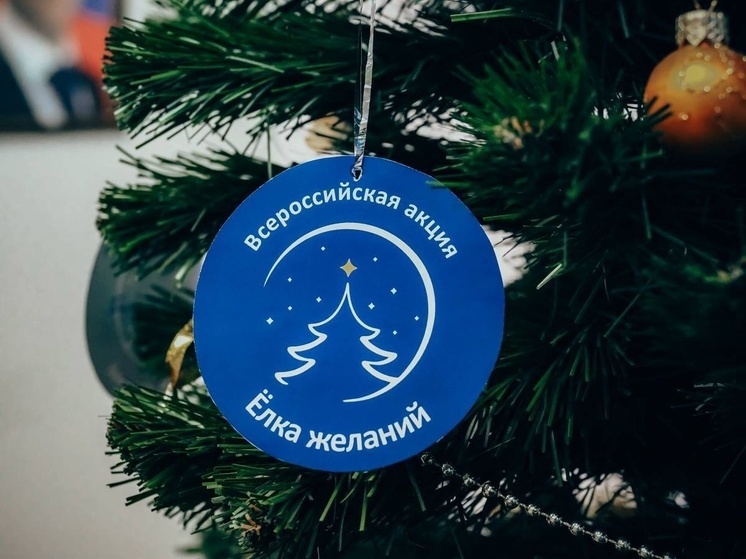 Программа Росмолодежи исполнит мечты детей из ДНР в рамках "Елки желаний"