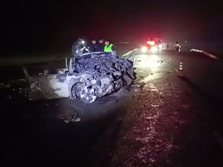 Три человека погибли в ДТП в Запорожской области