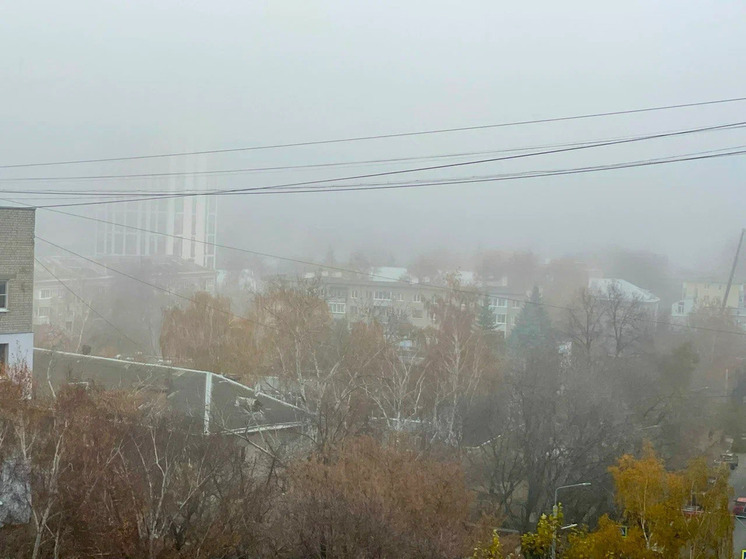 Рязанцев предупредили о густом тумане 5 декабря