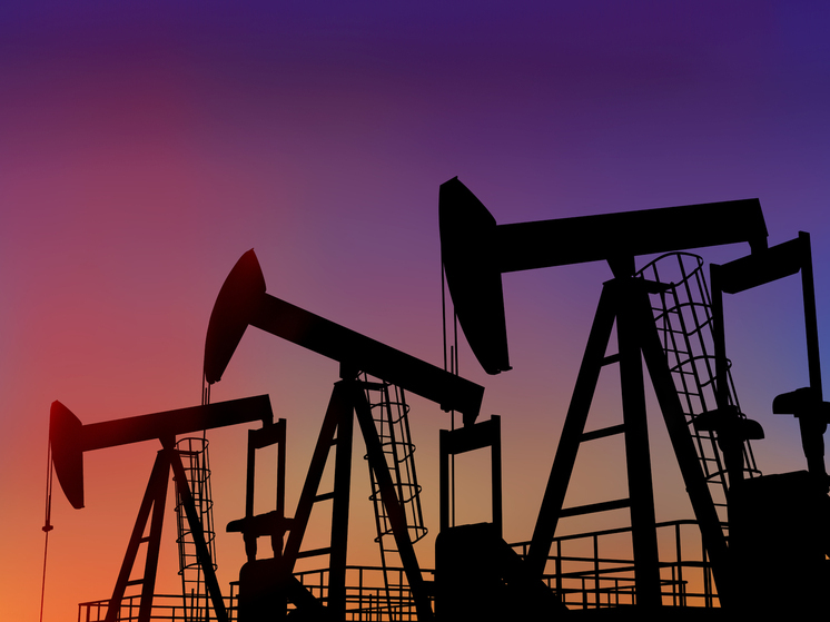 В Северодвинске отмечают 30-летие закладки платформы «Приразломная»