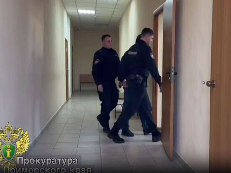 Суд вынес приговор водителю, который толкнул женщину из-за парковки во Владивостоке