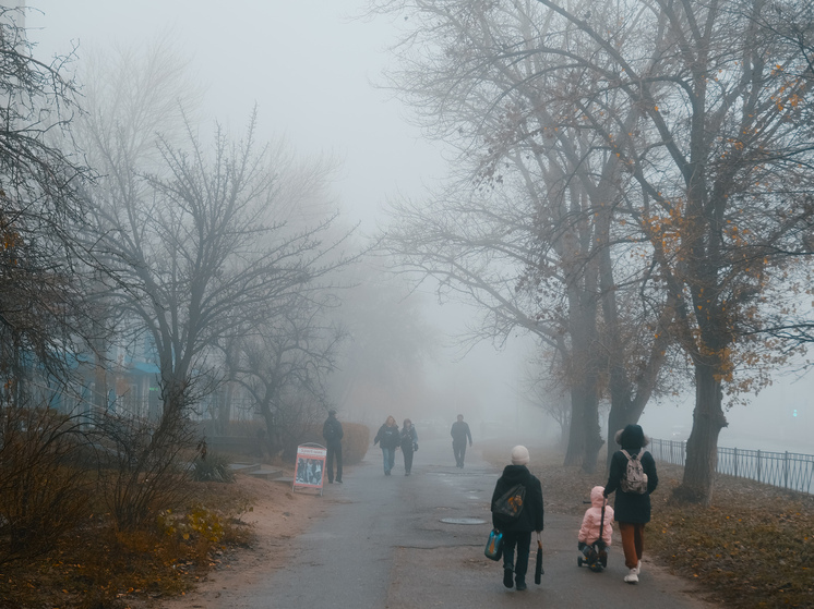 «Роста не заметили»: волгоградцев удивила средняя зарплата от Росстата