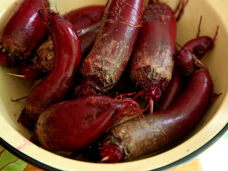 Nutrients: Содержащиеся в свекле вещества защищают мозг от повреждений