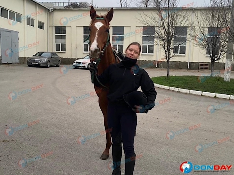 На ростовском ипподроме во время сноса конюшен едва не пострадала жокей с лошадью