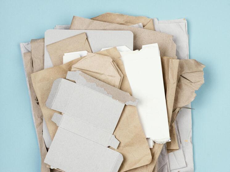 В Красноярском крае стартовала всероссийская экологическая акция по сбору макулатуры «БумБатл»