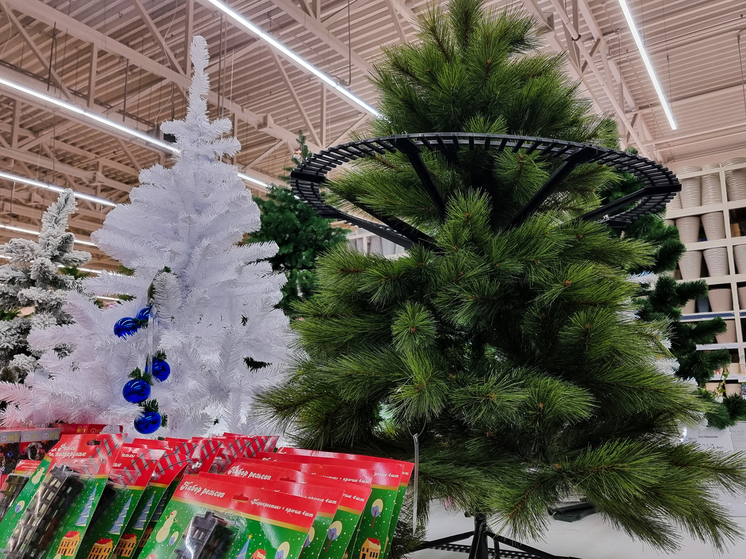 Россиянам могут грозить штрафы за елки в подъездах